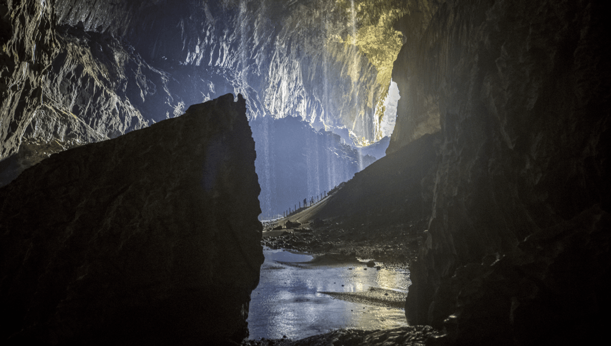 In 1961, Scientists Began Exploring Uncharted Caves In Borneo. The 