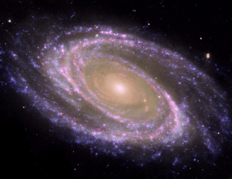 The polarization produced by interstellar dust is how we know the Milky Way Galaxy, and others like M81 shown here, carry a galaxy-wide magnetic field