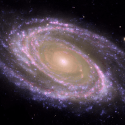 The polarization produced by interstellar dust is how we know the Milky Way Galaxy, and others like M81 shown here, carry a galaxy-wide magnetic field