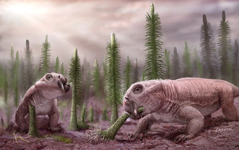 An artist's impression of two lystrosaurus.