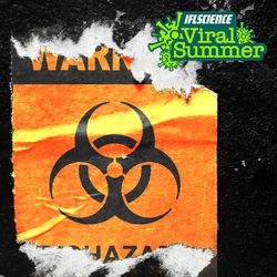two posters that are ripped at the edges, the one on the left shows an illustration of a pig sneezing with viruses nearby, the other is a biohazard warning poster. A logo in the top right hand corner reads IFLScience Viral Summer.