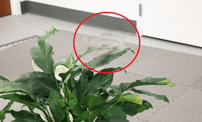 Low-visibility drone flying in front of a plant