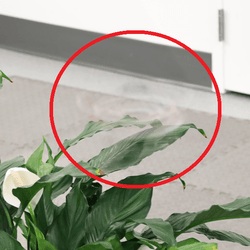Low-visibility drone flying in front of a plant