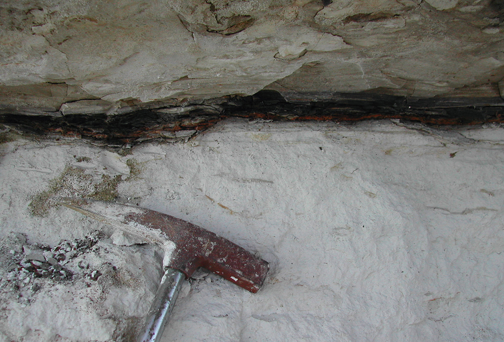 The dark KT clay in Stevn’s Klint, Denmark, where asteroid material marks the boundary between Cretaceous and Paleogene rocks