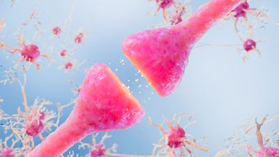 illustration of a synapse in pink on a pale blue background with small glowing particles moving across the cleft to represent neurotransmitters, with other neuronal cells in the background