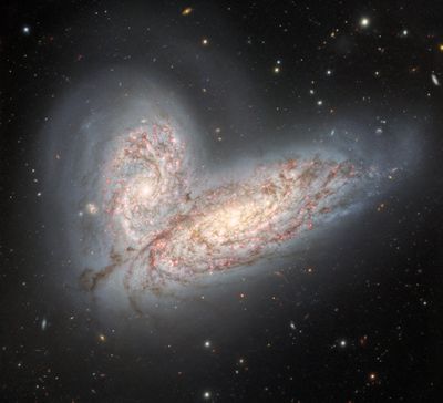 two spiral galaxies are seen interacting almost face on