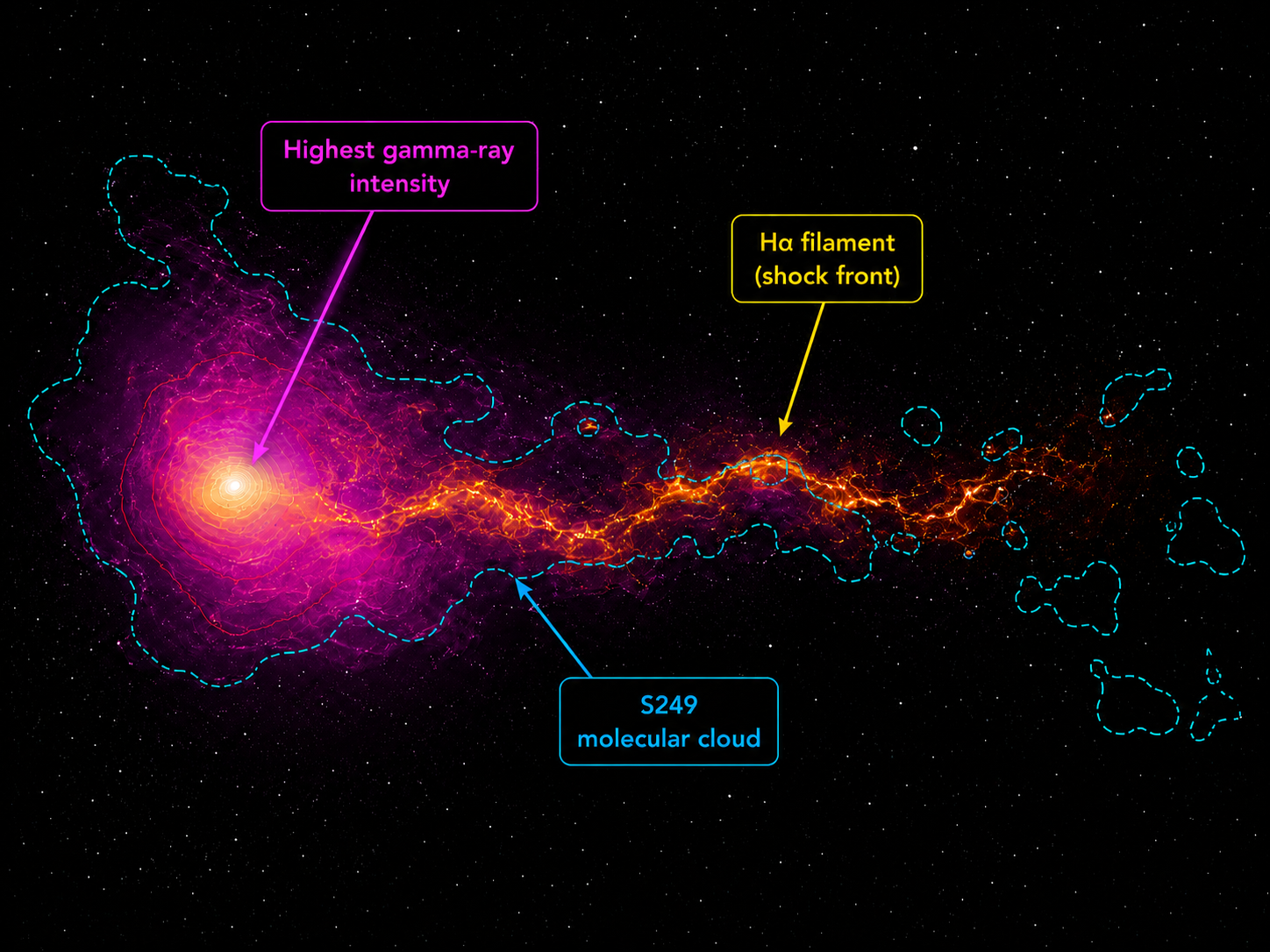 G189.6+3.3's northern boundary in optical and UV, showing a sight of intense 10GeV gamma rays, indicative of a supernova shock wave compressing dense material G189.6+3.3's northern boundary in optical and UV, showing a sight of intense 10GeV gamma rays, indicative of a supernova shock wave compressing dense material
