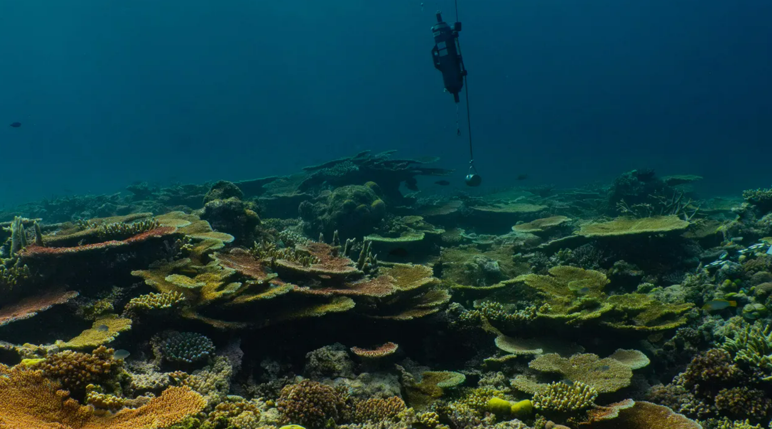 Seawater sampling on the Great Barrier Reef