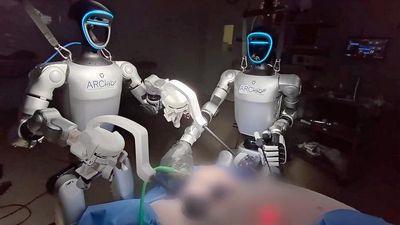 The dual robosurgeons operating a blurred out pig (presumably for privacy).