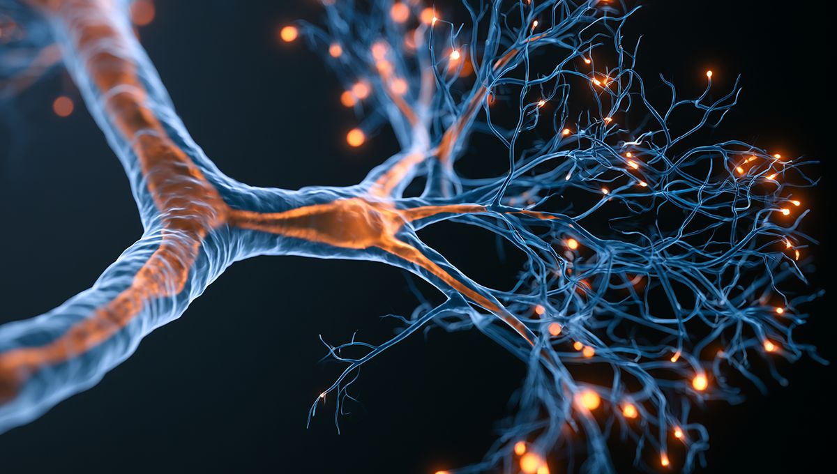 Watch As A Seizure Speeds Through A Brain In Fascinating, First-Of-Its-Kind Video