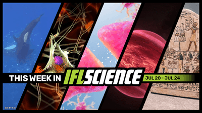 All the biggest science news stories of the week.