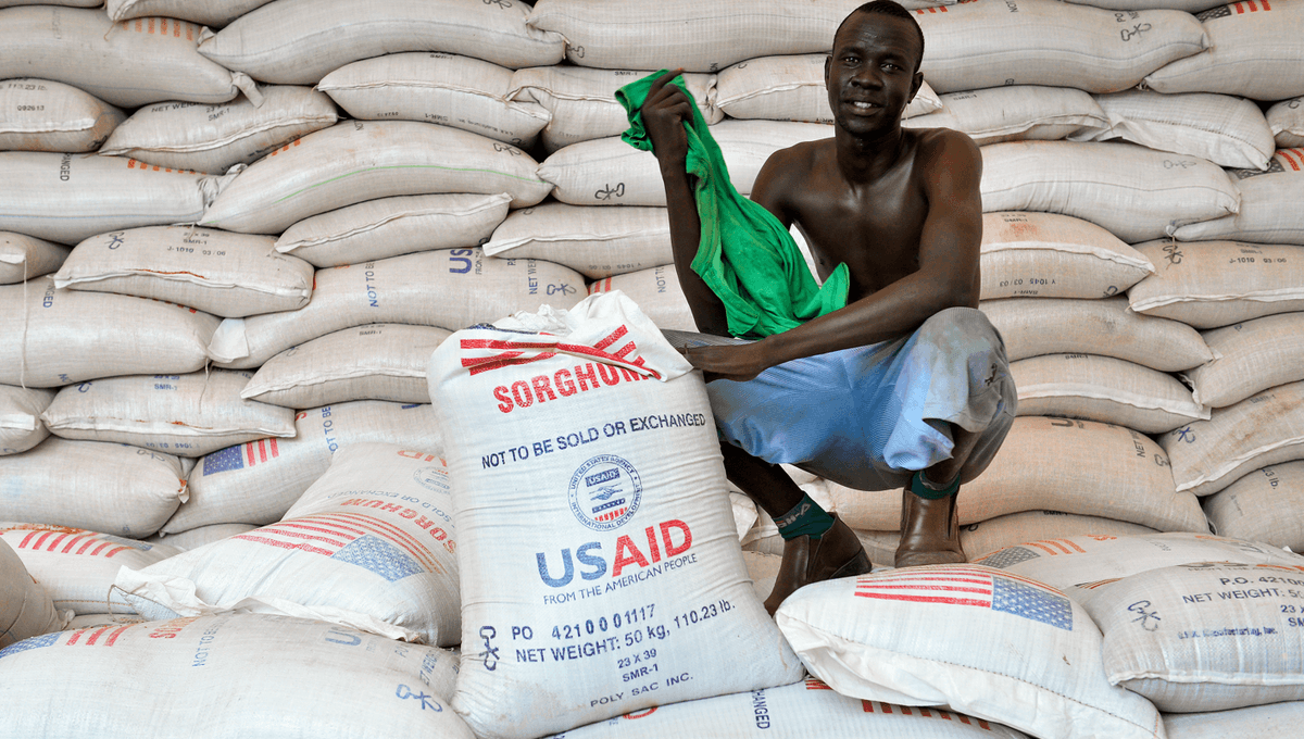 Musk Suggests The Impact Of USAID Cuts Was Overstated, But New Research Tells A Very Different Story
