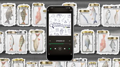 A picture of a mobile phone superimposed on a background of fish in jars. 
