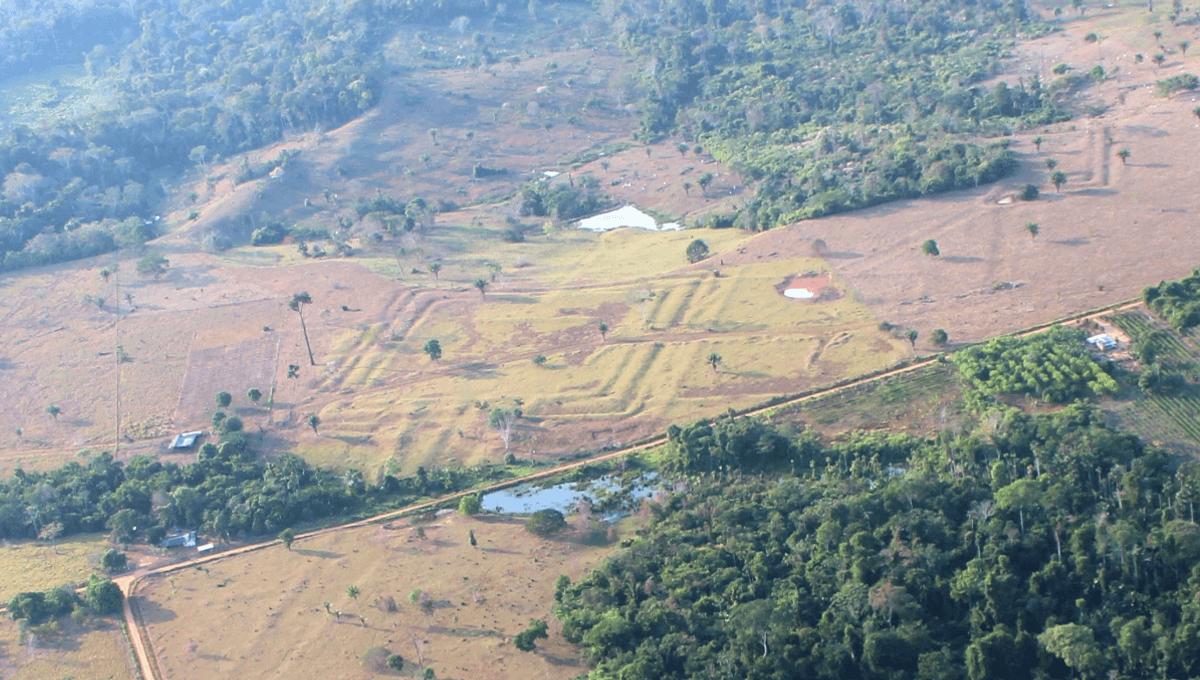 Lasers Uncover 400 Hidden Structures From A Lost Amazon Civilization That Once Boasted 3 Million People