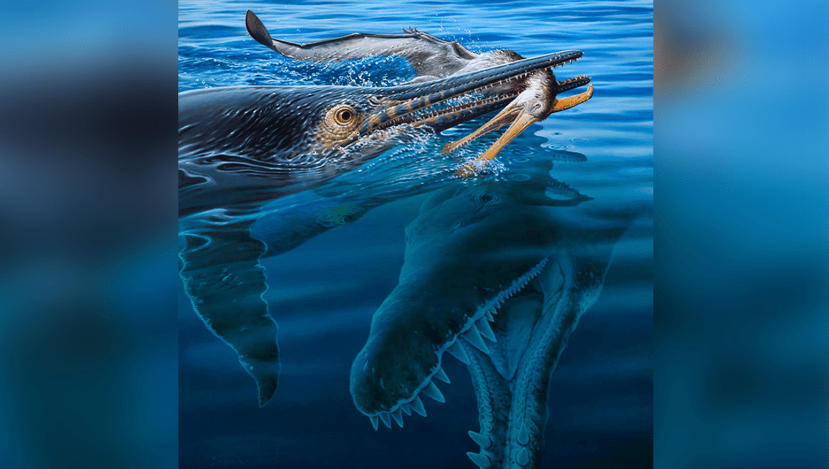 Three-Way Chomp-Fest Between Ancient Species Shows Who Was Eating Who in The Lower Cretaceous