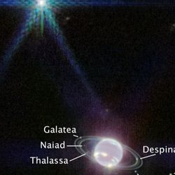 In this version of Webb’s Near-Infrared Camera (NIRCam) image of Neptune, the planet’s visible moons are labeled. Neptune has 14 known satellites, and seven of them are visible in this image.  Triton, the bright spot of light in the upper left of this image, far outshines Neptune because the planet’s atmosphere is darkened by methane absorption wavelengths captured by Webb. Triton reflects an average of 70 percent of the sunlight that hits it. Triton, which orbits Neptune in a backward orbit, is suspected to have originally been a Kuiper belt object that was gravitationally captured by Neptune.