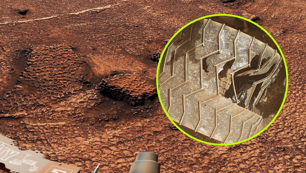 Curiosity Finds 