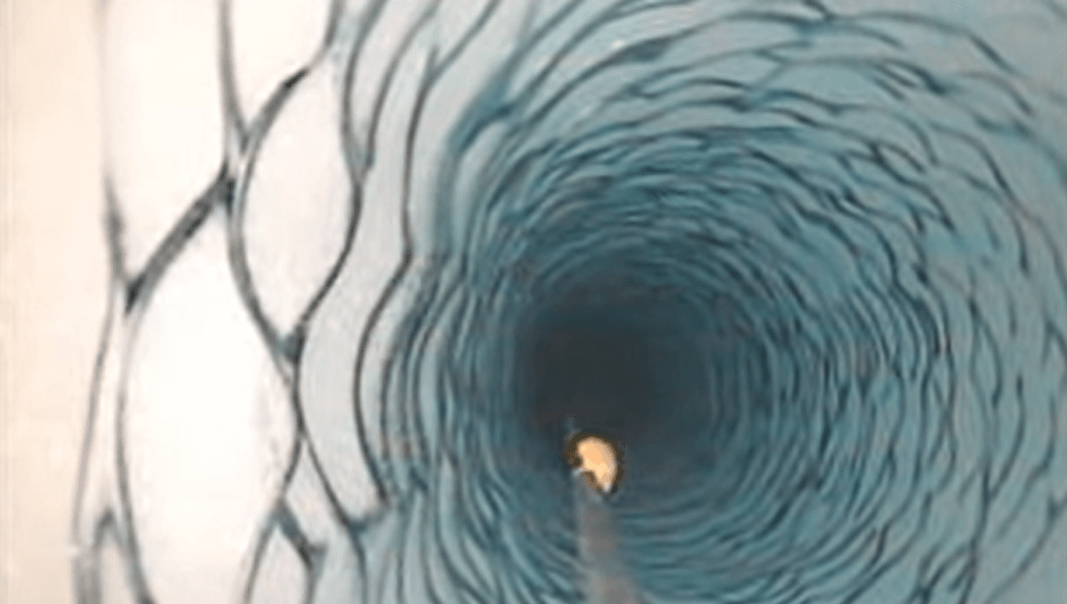 In 2009, Scientists Drilled 183 Meters Beneath An Antarctic Ice Shelf And Found A Surprising Lifeform