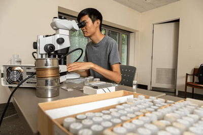 By comapring vast numbers of foramanifera samples collected from the ocean floor at different ages, Dr Jonathon Chen established the cause of the second worst extinction of these calcifying plankton