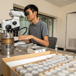 By comapring vast numbers of foramanifera samples collected from the ocean floor at different ages, Dr Jonathon Chen established the cause of the second worst extinction of these calcifying plankton 
