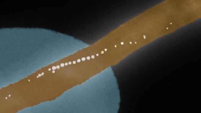 Colorized electron microscope image of the chain of magnetic nanoparticles of a single Magnetospirillum gryphsiwaldense bacterium fixed on a spring beam. Colorized electron microscope image of the chain of magnetic nanoparticles of a single Magnetospirillum gryphsiwaldense bacterium fixed on a spring beam.