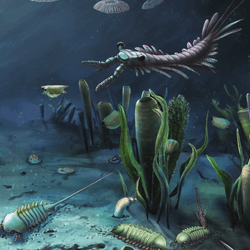 lots of alien-looking complex life swimming in the ancient ocean