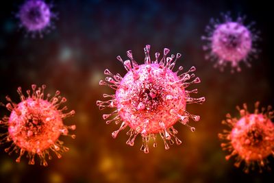 3D illustration of cytomegalovirus particles in shades of pink, red, and purple