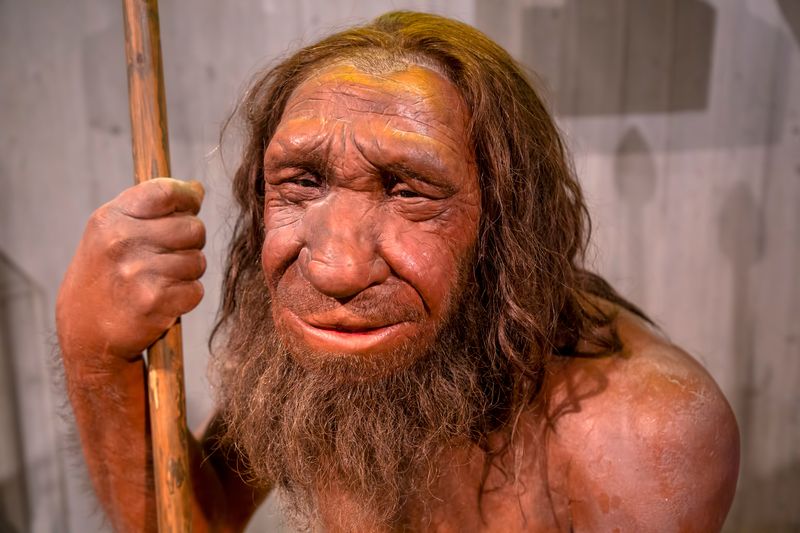 Model of a Neanderthal Dusseldorf, Germany, February 16, 2024, Neanderthal Museum