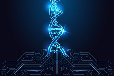 Biotech and DNA analysis technology concept with glowing digital double helix structure connected to circuit board on dark blue background. Futuristic low poly style, abstract vector illustration.