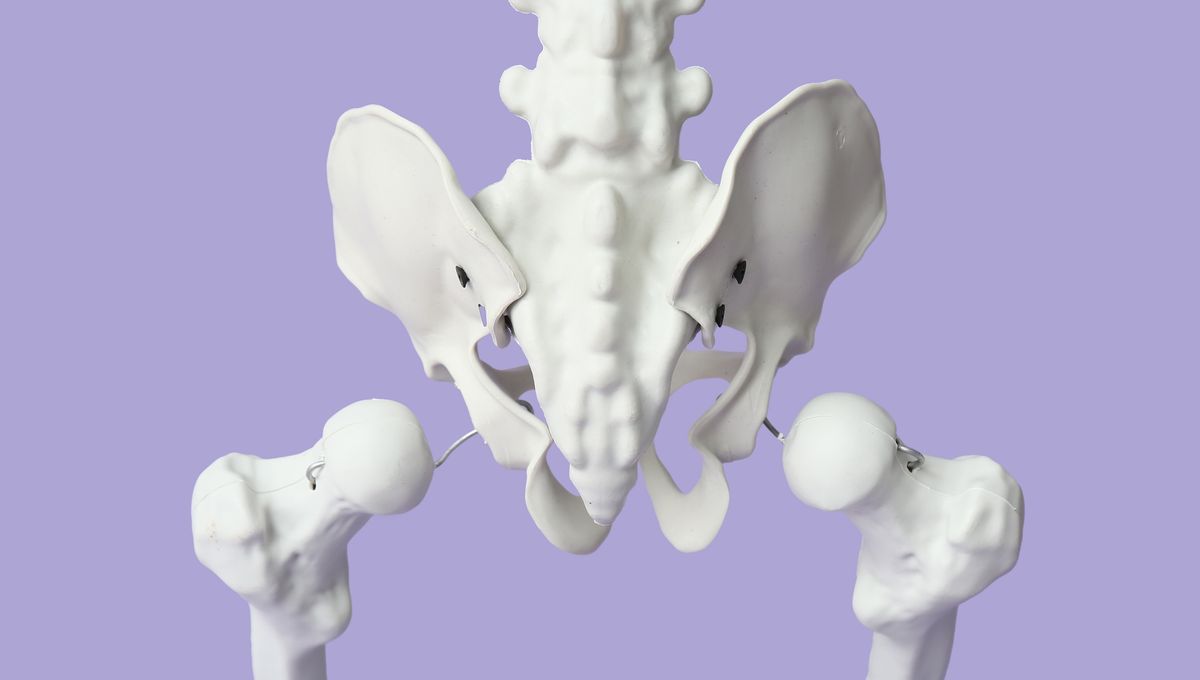 Men Evolved A Unique Pelvis That Puts A Spring In Their Step, But Women Have The Same Pelvis As Neanderthals - IFLScience image