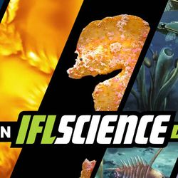All the biggest science news stories of the week.