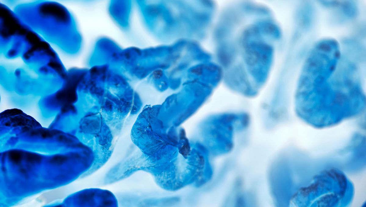 Over 600 New Cancer Models Unveiled After 10-Year Project With Help From 2,800 Patients – And They're Publicly Available Too