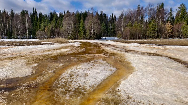 A photo of meltwater and a forest taken in Chupa, Karelia, Russia