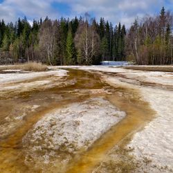 A photo of meltwater and a forest taken in Chupa, Karelia, Russia