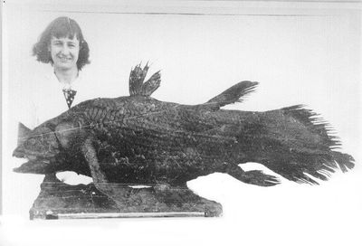 Black and white photo of Marjorie Courtenay-Latimer with a coelacanth