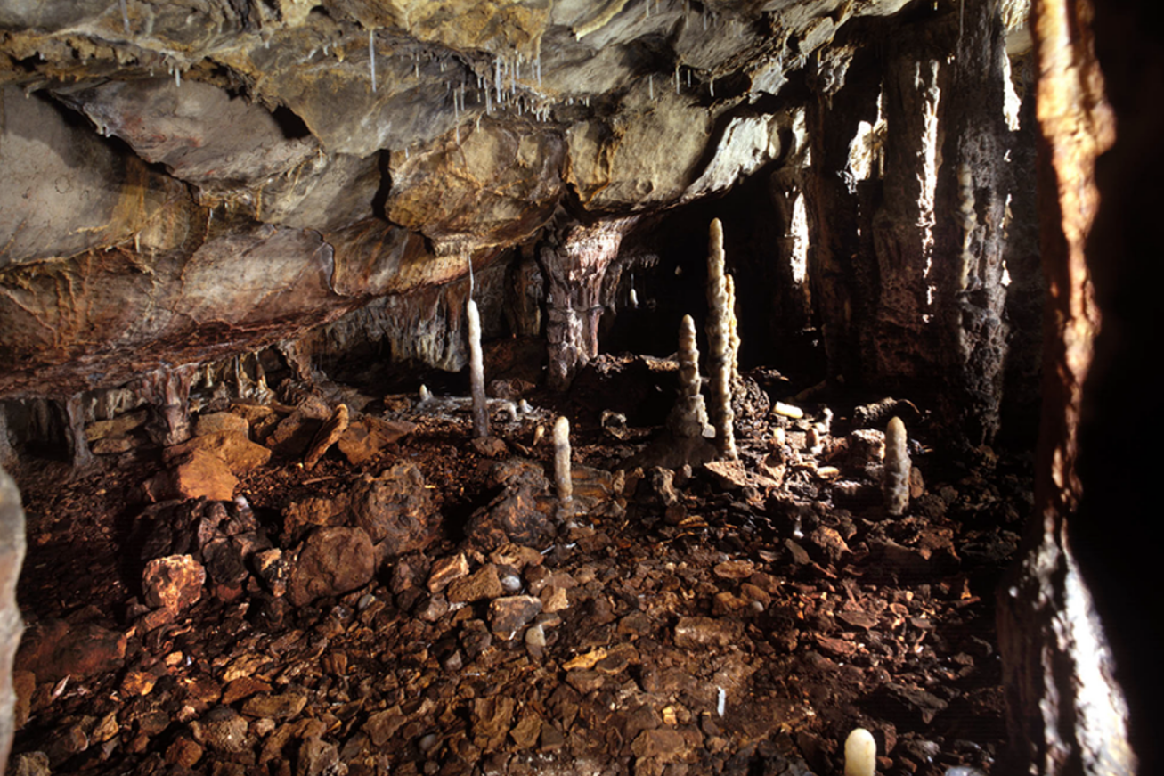 Another shot inside La Garma cave. Another shot inside La Garma cave.