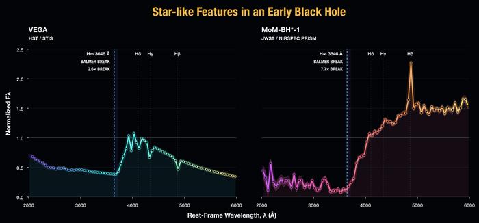 A comparison of the spectrum of Vega, a start known for its powerful Balmer Break, and MoM-BH*-1, which far exceeds Vega's A comparison of the spectrum of Vega, a start known for its powerful Balmer Break, and MoM-BH*-1, which far exceeds Vega's