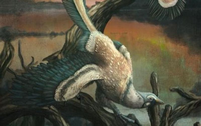 A artists reconstruction of the ancient dinosaur Archaeopteryx.