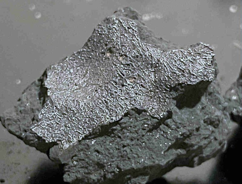 a shiny grey jagged rock is visible in this image