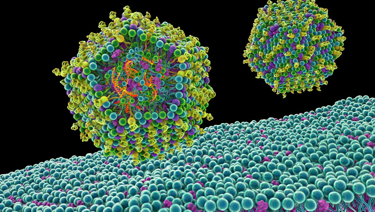 For The First Time Ever, A Personalized mRNA Cancer Vaccine Has Cleared Phase 3 Trials – And With Flying Colors