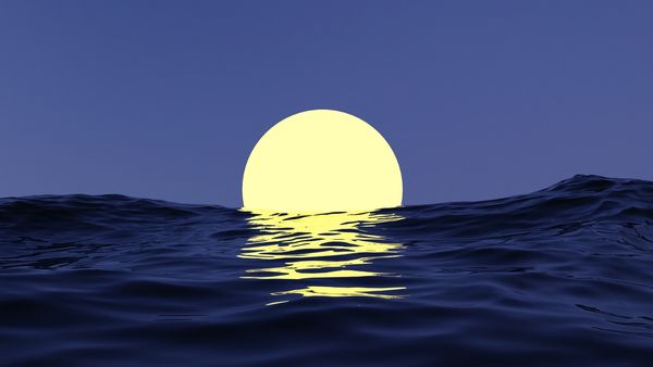 An illisustration of a large yellow moon rising over the sea casting a yellow reflection on its surface at night