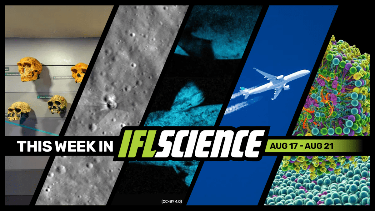 Hominin Taxonomy Is A Hot Mess, See The Before And After Of SpaceX's Collision On The Moon, And Much More This Week