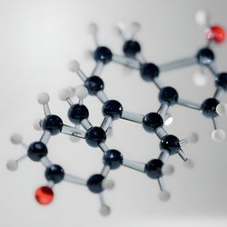 A molecular model of testosterone. 