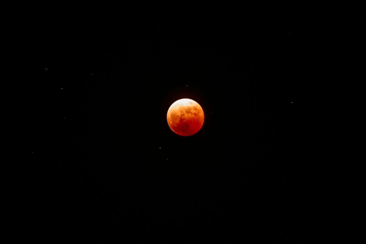 Earth’s Shadow Will Almost Entirely Cover The Moon This Friday – With North And South America Getting Front Row Seats To This Exciting Partial Eclipse