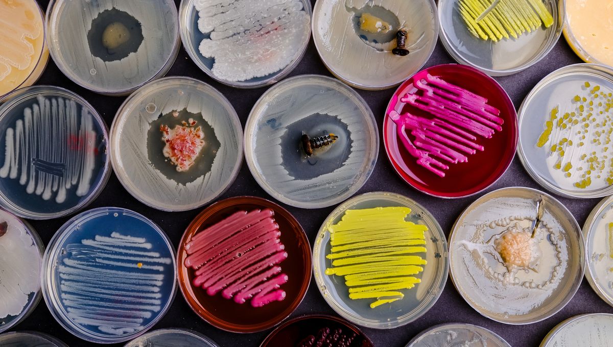 “Revived” Protein Dating Back To The Dawn Of Mammal Evolution, 160 Million Years Ago, Hints At New Way Of Tackling Antibiotic Resistance