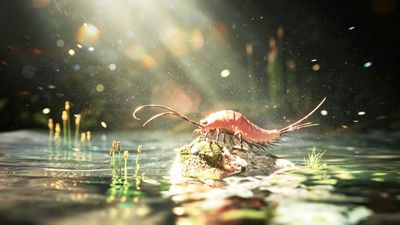 Palaeoecological reconstruction of Chosha praecursor, showing it as a shrimp like creature on a rock above a pond.