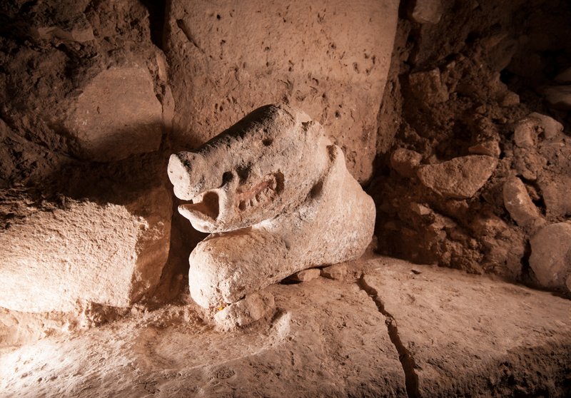 A life-sized carved stone statue of boar discovered at Göbekli Tepe in 2023. A life-sized carved stone statue of boar discovered at Göbekli Tepe in 2023.