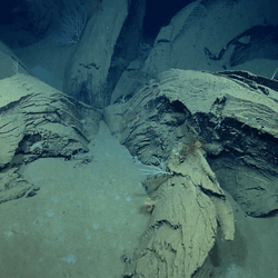 6 rocky extrusions of tar have grown out of the seabed like petals on a flower