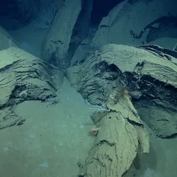 6 rocky extrusions of tar have grown out of the seabed like petals on a flower