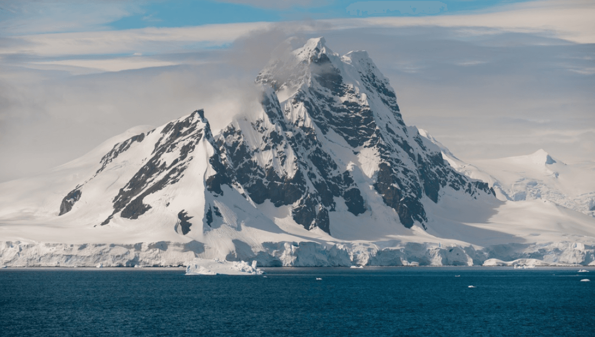 There Are Lifeforms In Antarctica Found Nowhere Else On Earth, And Like A Miniature Version Of Pokémon, Scientists Want To Catch Them All